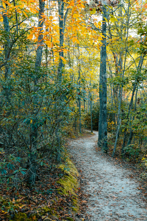 Preview: Pilot Mountain in North Carolina