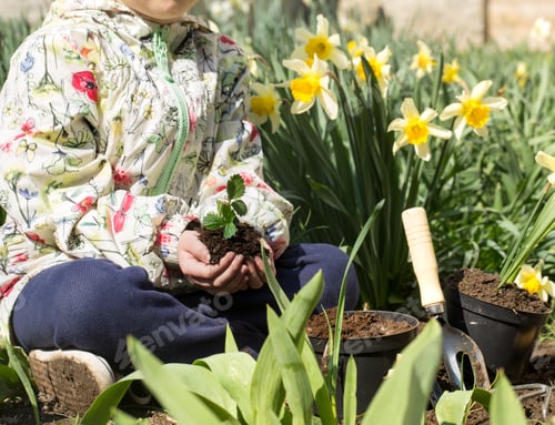 Preview: little girl planting flowers in the garden