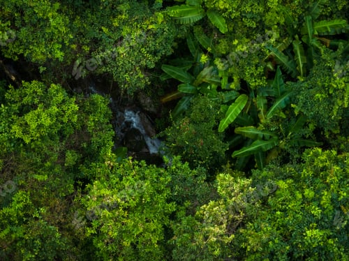 Preview: Aerial view of beautiful tropical forest mountain landscape