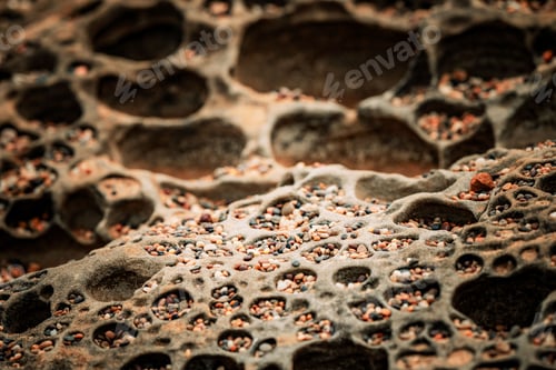 Preview: Closeup of colorful honeycomb rock formation with pebbles at oceanside