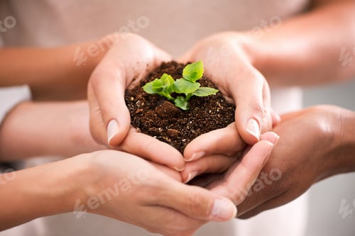Preview: Together we can nuture greatness. Closeup shot of cupped hand holding a small seedling.