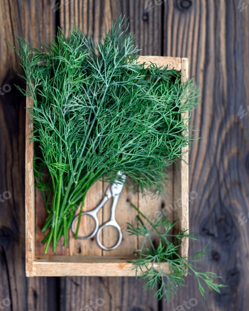 Preview: Organic green dill placed in a wooden box