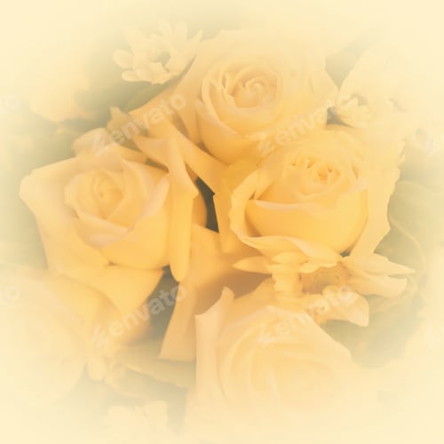Preview: Rose Soft Vintage Background