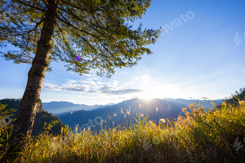 Visualização: Chiayi alishan sunrise in alishan national park