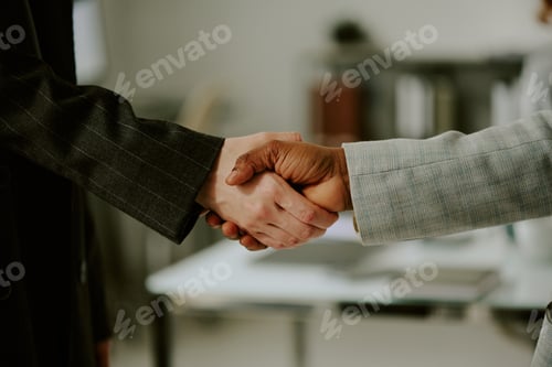 Preview: Shaking Hands in Professional Business Meeting