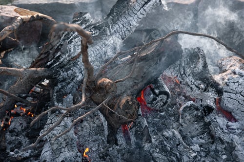 Preview: Close-up of large logs of a tree in a dying fire.
