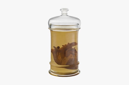 Preview: Preserved Human Heart in Vintage Glass Jar
