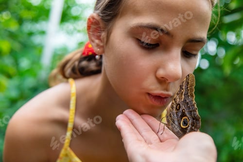 Preview: A child holds a beautiful butterfly. Selective focus.