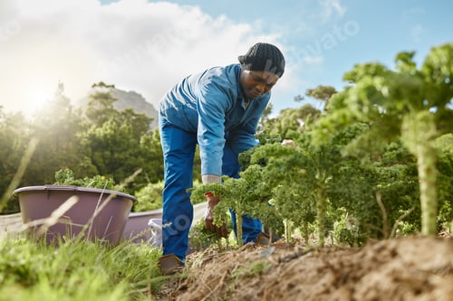 Preview: Remember, the land works for you. Full length shot of a male farm worker tending to the crops.