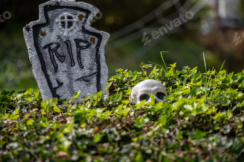 Preview: Halloween decoration on a green hedge. San Francisco, USA