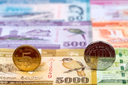 Preview: Sri Lankan coins on the background of money