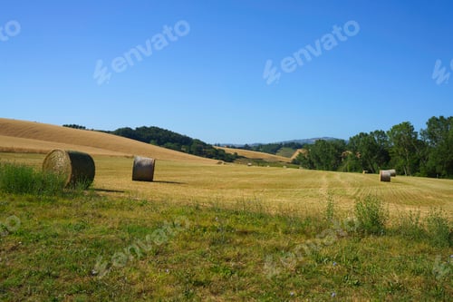 Preview: Rural landscape near Buonconvento, Tuscany, Italy