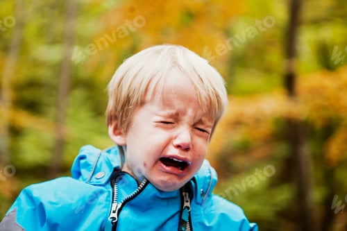 Preview: Close-up of boy crying in forest