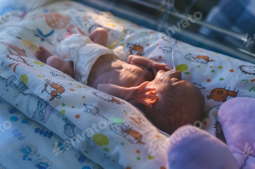 Preview: Premature newborn lying in incubator on colorful bedding