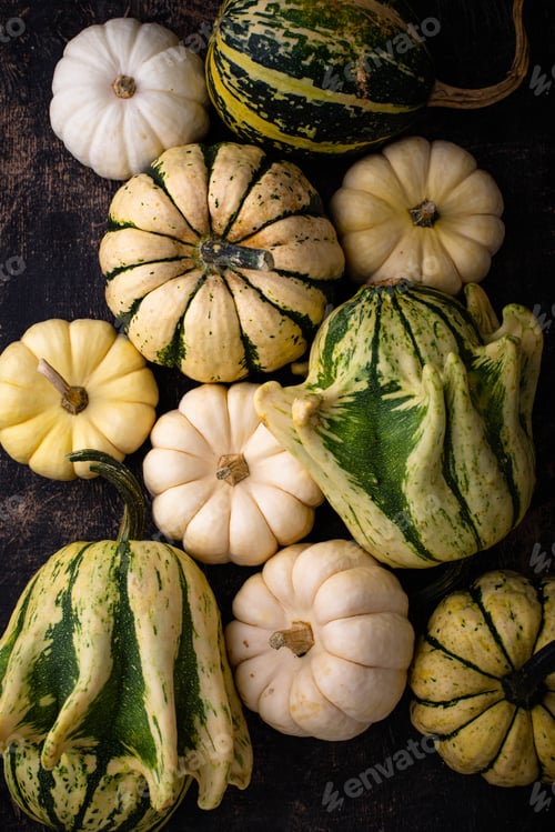 Preview: Autumn fall background with pumpkins