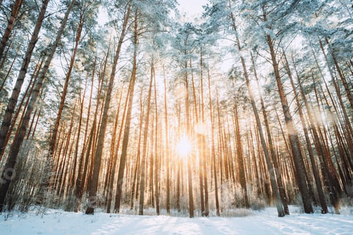 Preview: Beautiful Sunset Sunrise Sun Sunshine In Sunny Winter Snowy Coni