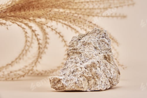 Preview: Stone podium and dry plant on beige background
