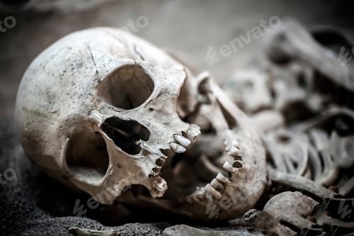 Preview: Human Death Skeleton Bones and Skull