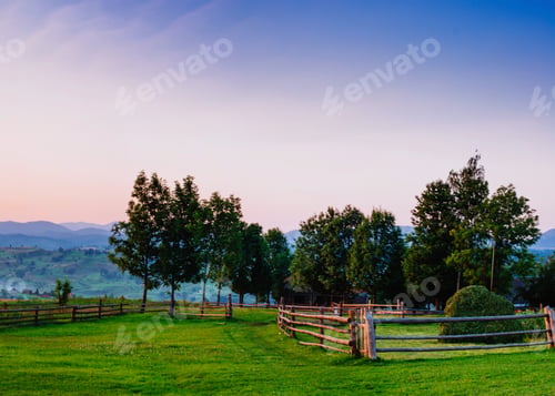 Preview: Colorful summer landscape