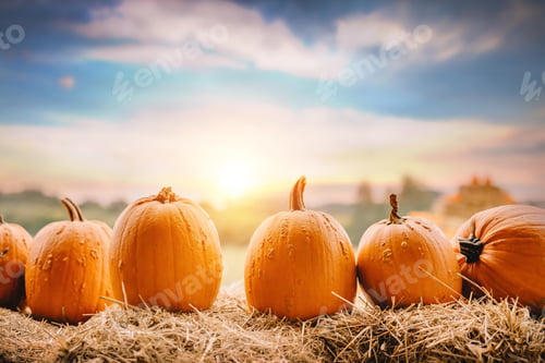 Preview: Halloween pumpkins on hay.