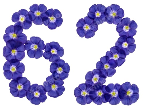 Preview: Arabic numeral 62, sixty two, from blue flowers of flax, isolated on white background