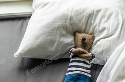 Preview: Teddy on the bed .