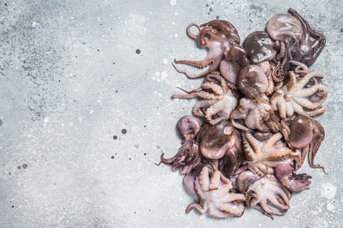 Visualização: Bunch of raw young baby octopus on kitchen table. Gray background. Top view. Copy space
