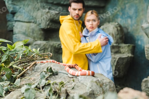Preview: scared young couple in raincoats terrified of snake on rock