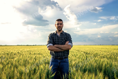 Preview: Portrait of young farmer standing in a green wheat field looking at camera.