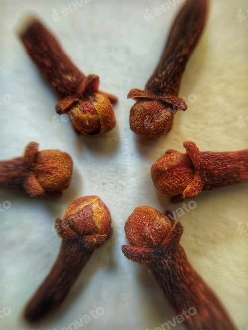 Preview: CLOVES