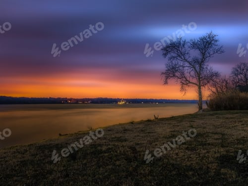Preview: Beautiful shot of a lonely tree at sunset