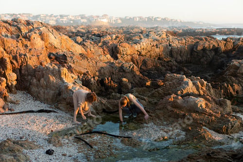 Preview: Teenage girl and her brother bending down over a rock pool among jagged rocks at sunset