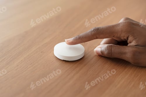 Preview: Smart speaker for house control innovative technology