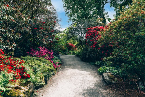 Preview: Beautiful Garden with blooming trees during spring time