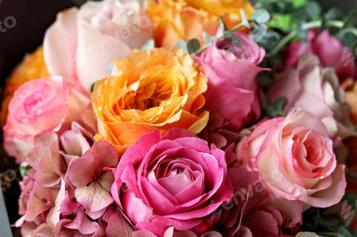 Preview: Roses background. Beautiful colorful bouquet of pink and yellow rose flowers.