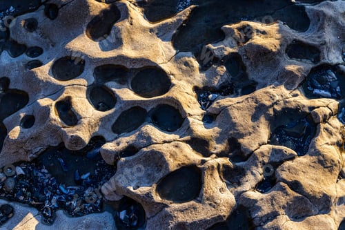 Preview: Eroded Rocky Shoreline of Port Renfrew on Vancouver Island, Canada