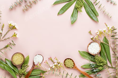 Preview: Bio herbal green cosmetic arrangement, sea salt and handmade cosmetic.