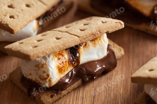 Preview: homemade marshmallow s'mores with chocolate on crackers