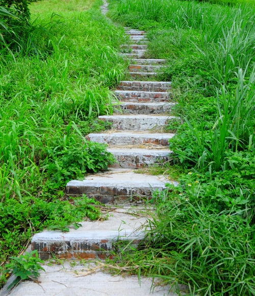Preview: mountain path for hiking