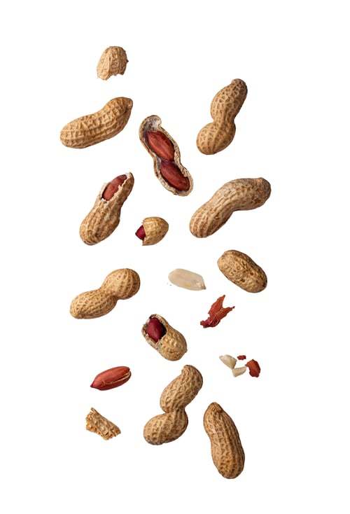 Preview: Peanuts with shell isolated om white