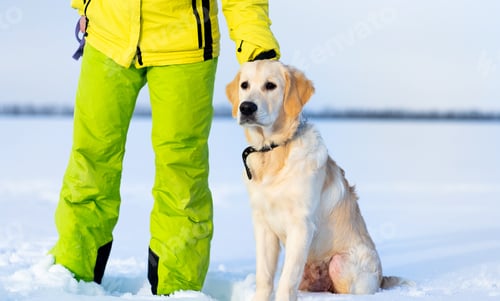 Preview: Female legs and dogs paws