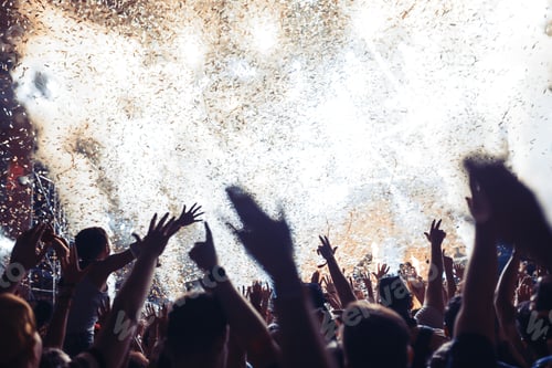 Preview: Portrait of happy crowd enjoying at music festival