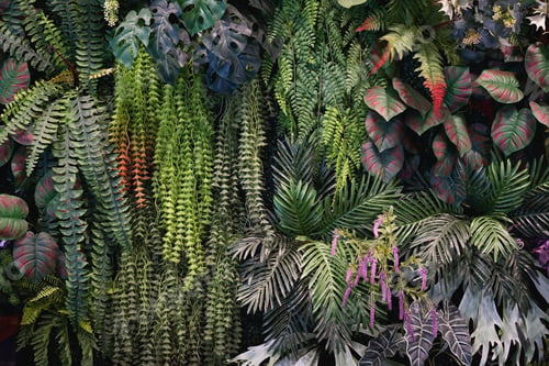 Preview: Close up group of background tropical green leaves texture and abstract background.