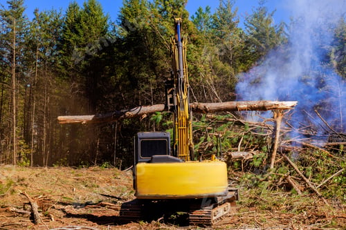 Preview: Using an excavator to uproot trees when preparing construction site for building a house