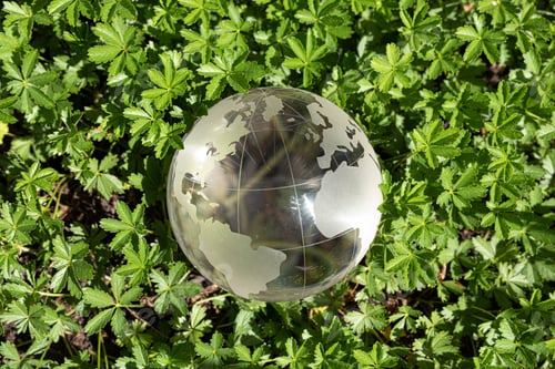 Preview: Top view shot of a glass globe in the grass - ecology and world care concept