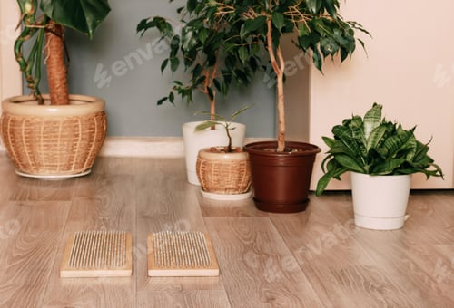 Preview: Sadhu board with nails lies on the floor, preparing for exercises. Practice standing nails at home