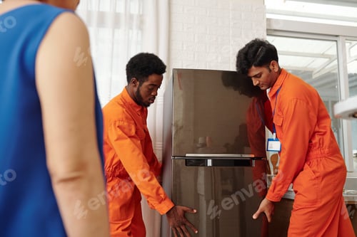 Preview: Mover Carrying Fridge