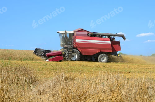 Preview: Harvesting in a field