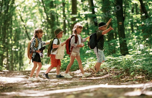 Preview: Discovering new place. Kids in forest at summer daytime together