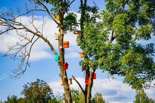 Preview: Many colorful bird houses on a tree. Nature care concept